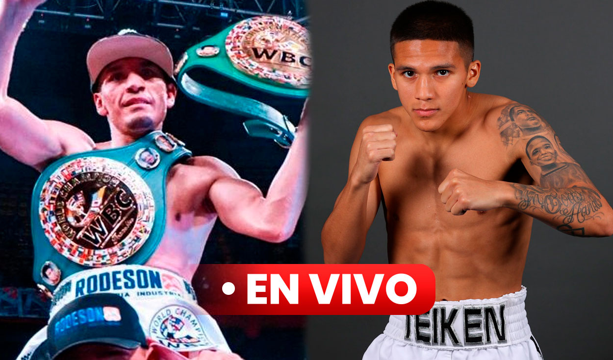 
                                 Gallo Estrada vs. Bam Rodríguez EN VIVO: hora y canal de la pelea de box por el título mundial CMB 
                            