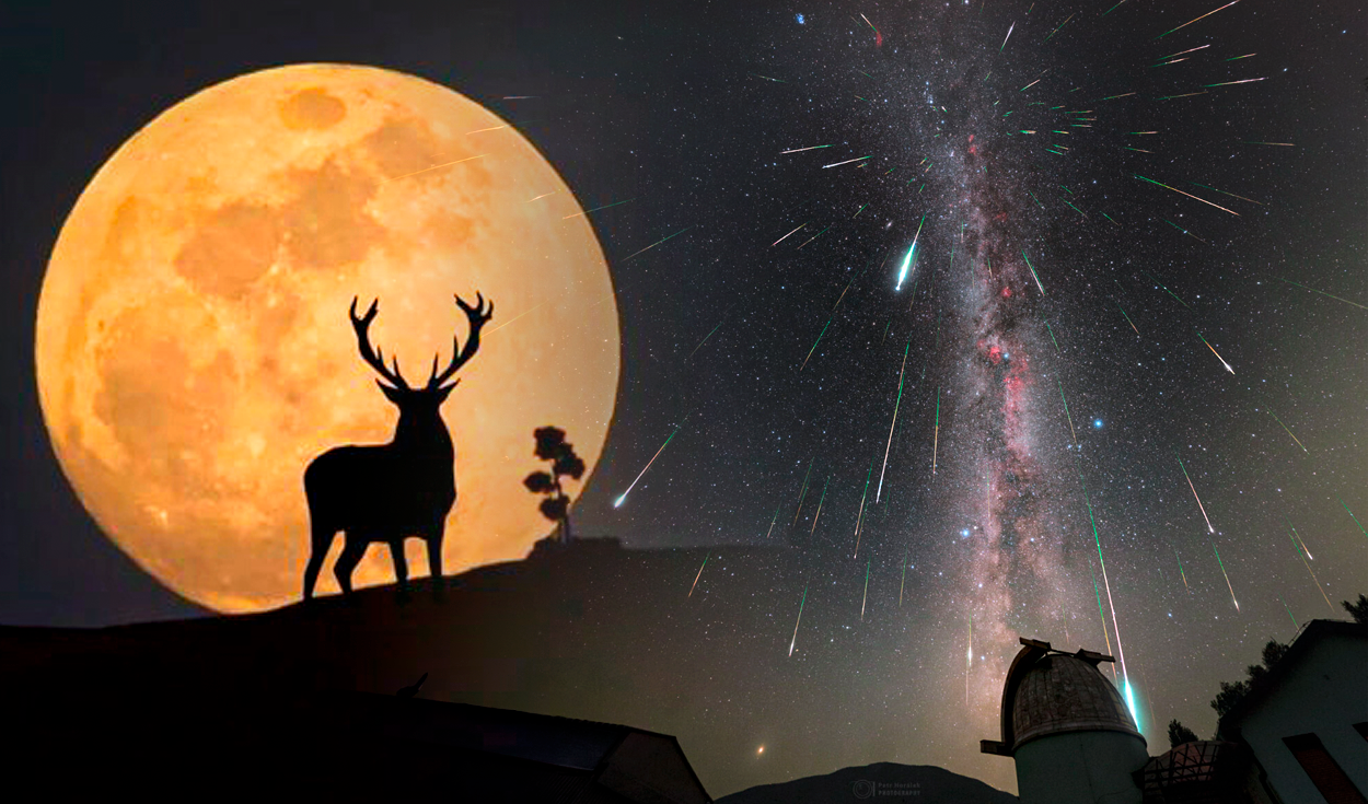 
                                 Luna de ciervo, 2 lluvias de estrellas y alineación planetaria: los deslumbrantes eventos astronómicos de julio 
                            