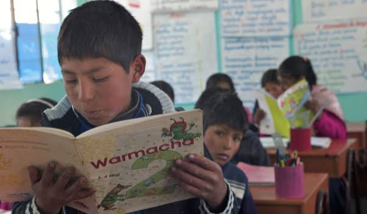 
                                 Congreso busca implementar idioma quechua en la currícula estudiantil: a quienes beneficia la ley 
                            