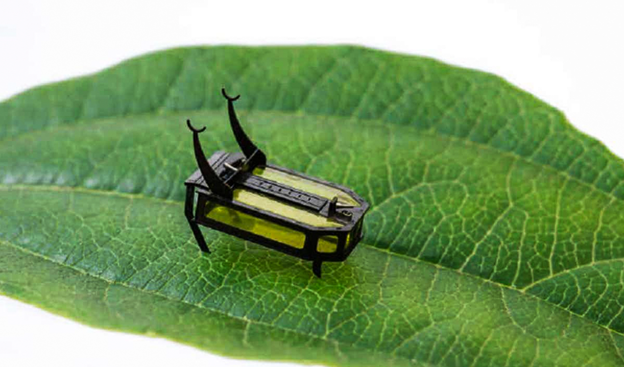 
                                 Ingenieros crean robots diminutos inspirados en insectos: uno mide 8 milímetros y pesa como un grano de arroz 
                            
