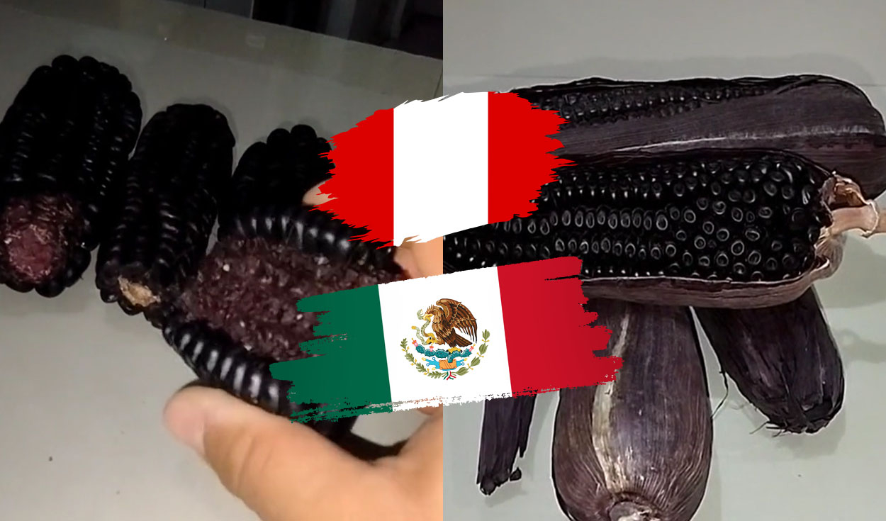 
                                 Mexicano compara el maíz morado peruano con el de su país y queda sorprendido: “Me gustó más” 
                            