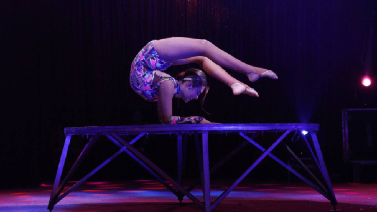 
                                 American Circus: Anuncia 'Mística', show del mundo mágico del circo a través de los ojos de una niña 
                            