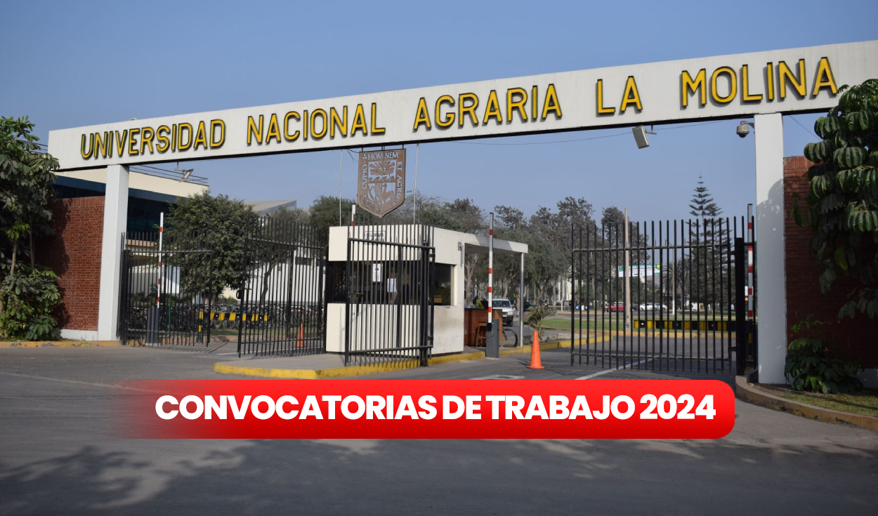 
                                 ¿Quieres trabajar en la Universidad Agraria La Molina? UNALM ofrece trabajos con sueldos de hasta S/6.714 
                            