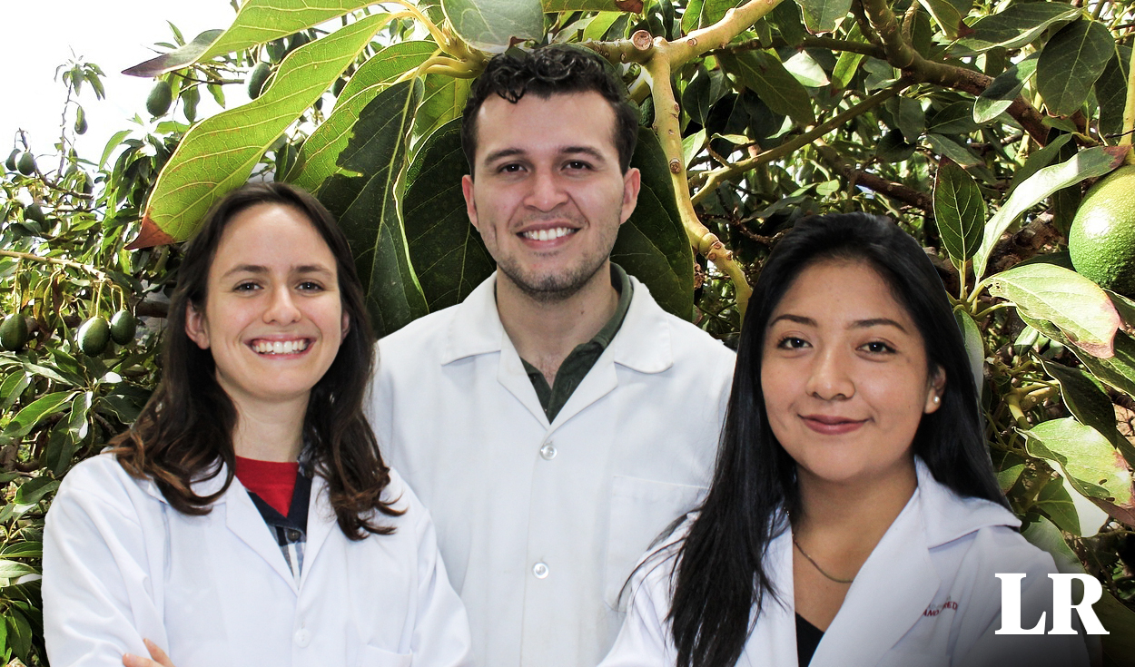 
                                 Estudiantes peruanos diseñan fórmula para mejorar cultivos de palta en Ica y destacan en competencia mundial 
                            