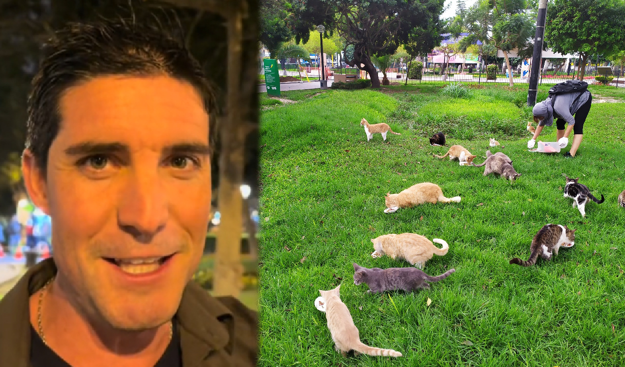 
                                 Uruguayo visita Perú y queda impactado al conocer el “parque de los gatos” en Miraflores: “Digno de destacar” 
                            