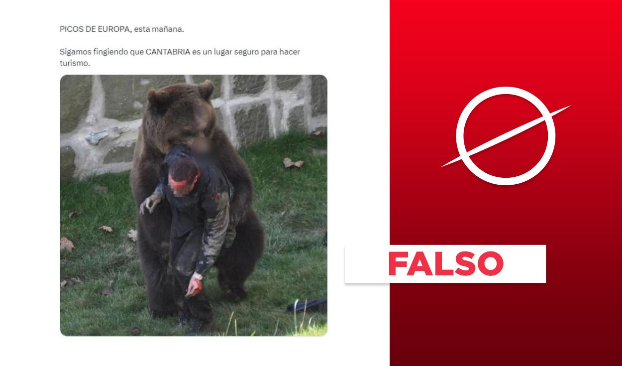 
                                 Imagen no muestra reciente ataque de oso a hombre en España 
                            