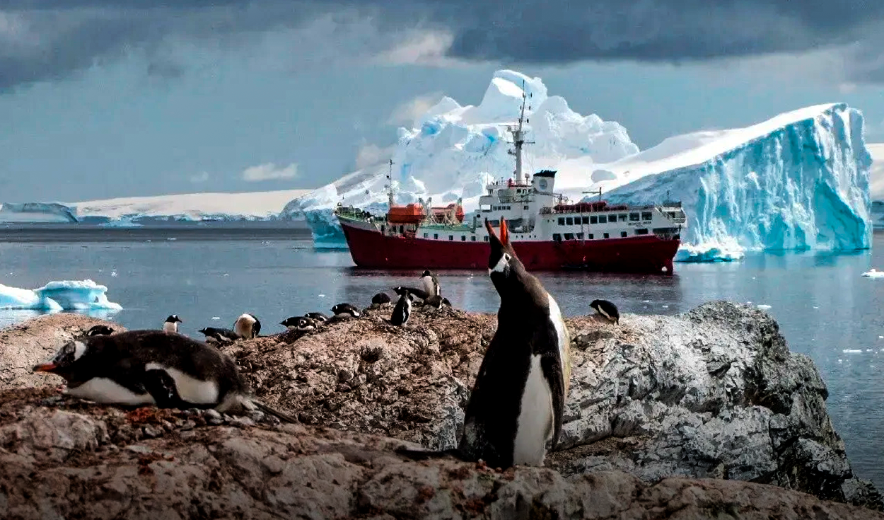 
                                 Una zona de la Antártida se derrite más rápido: estudio científico revela el motivo del acelerado deshielo 
                            