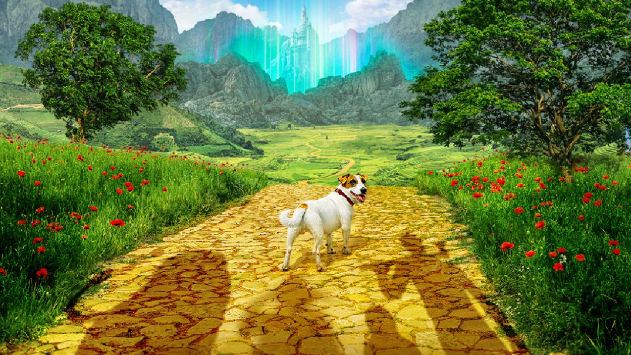 
                                 'El maravilloso Mago de Oz': Estrena póster y tráiler 
                            
