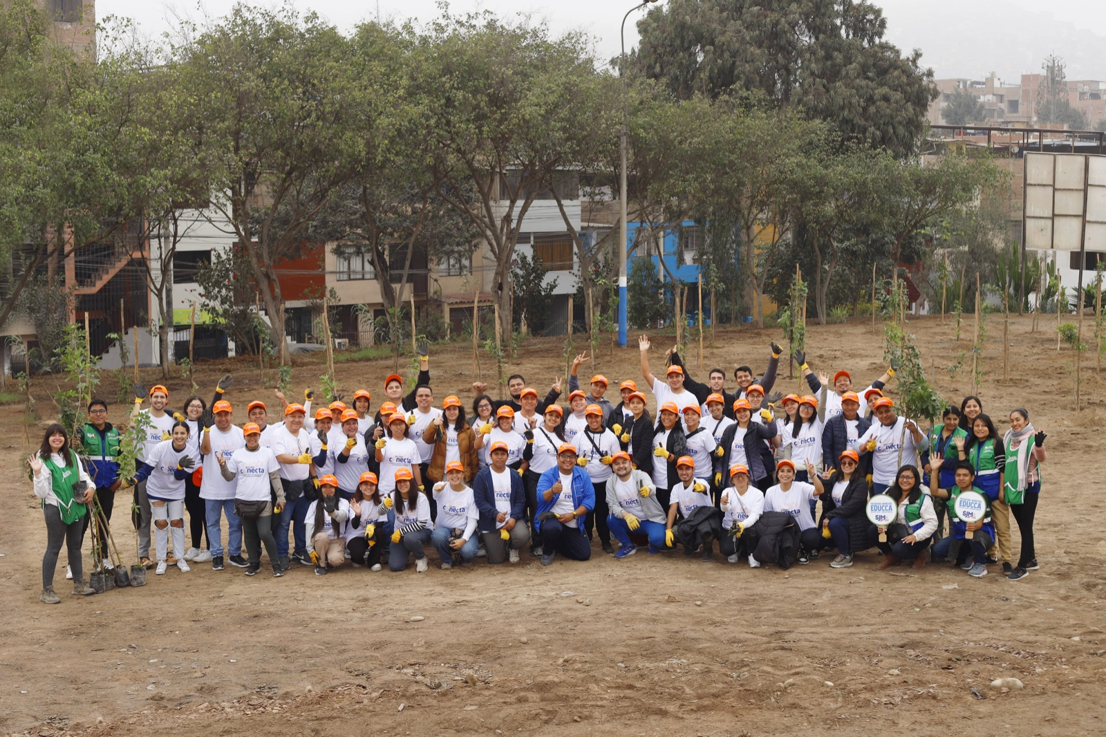 
                                 Primax arborizó más de 3,400 m2 en San Juan de Miraflores como parte de su programa “Energía que nos conecta” 
                            