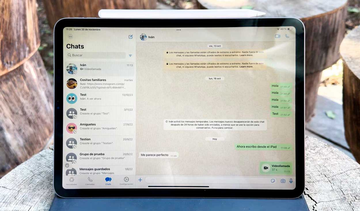 
                                 ¿Por qué no puedes instalar WhatsApp en un iPad, pero si en un iPhone? Te ayudamos a resolverlo 
                            