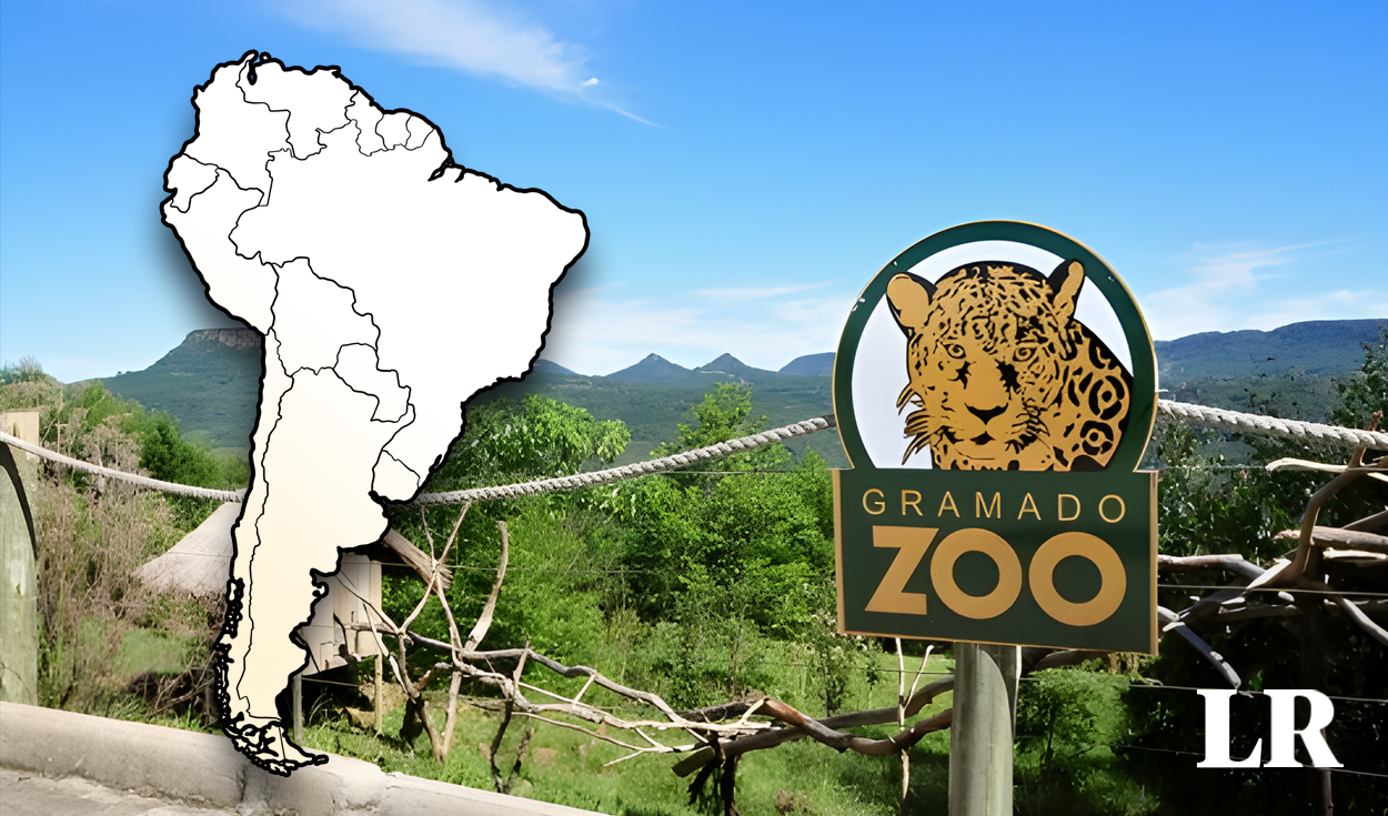 
                                 El único país de Sudamérica que tiene uno de los mejores zoológicos del mundo: no hay rejas ni jaulas 
                            