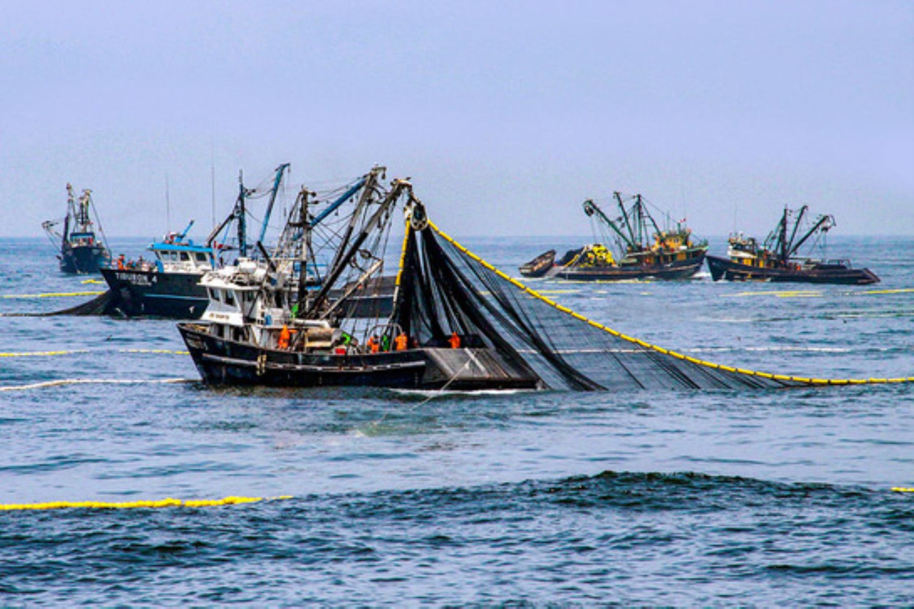 
                                 Economía creció 5,04% en mayo impulsada por la pesca 
                            
