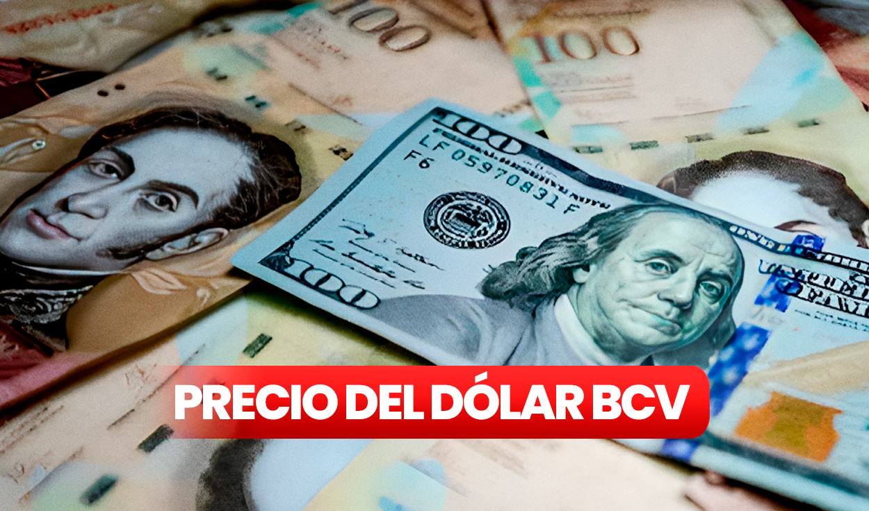 
                                 Dólar BCV HOY 16 de julio de 2024: precio oficial del dólar en Venezuela, según el Banco Central 
                            