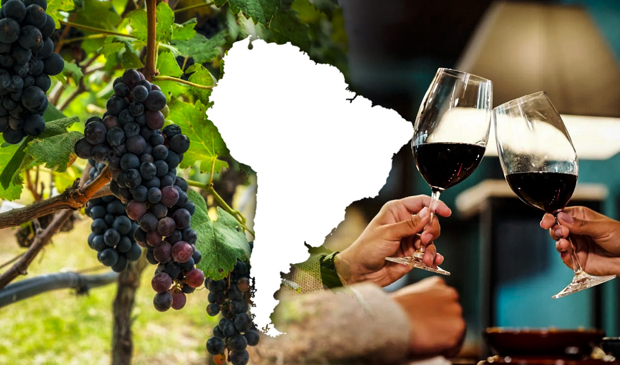 
                                 El país de Sudamérica donde se hace el mejor vino Malbec del mundo: puede comprarse desde US$10 
                            