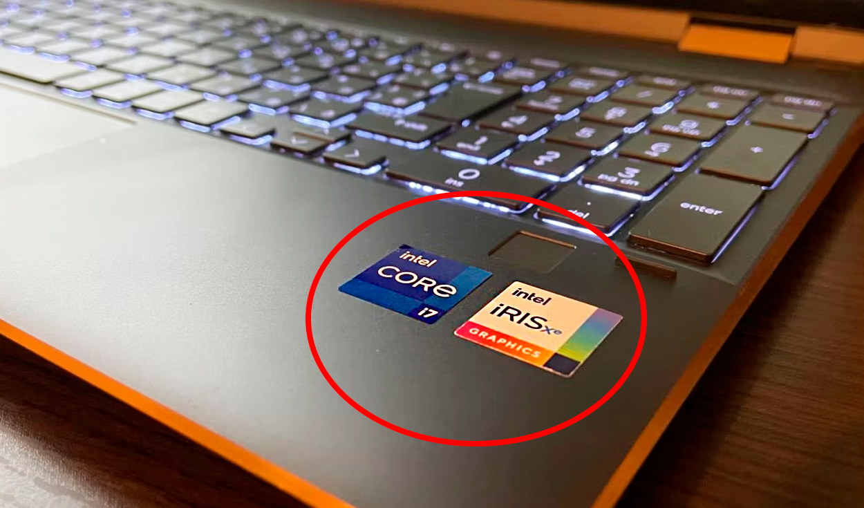 
                                 ¿Por qué no es recomendable que retires los stickers que vienen adheridos en tu laptop? 
                            