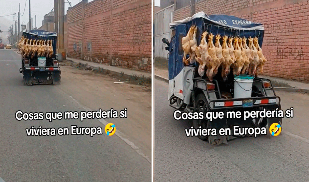 
                                 Captan a peruano trasladando pollos colgados en mototaxi y usuarios bromean: “Más fresco, imposible” 
                            