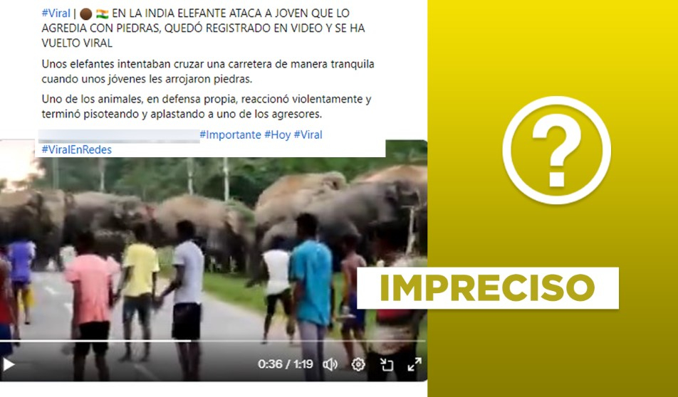 
                                 Video viral asociado a un incidente de un elefante en la India no es actual 
                            