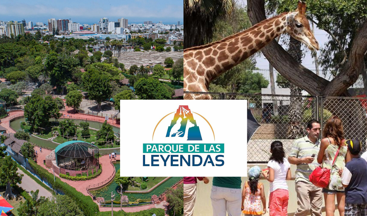 
                                 Celebración de Fiestas Patrias en el Parque de las Leyendas: actividades especiales del 20 al 29 de julio 
                            