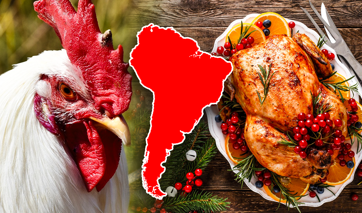 
                                 El país de Sudamérica con el mayor consumo de pollo en toda la región: supera a Perú y Brasil con 48 kg por persona 
                            