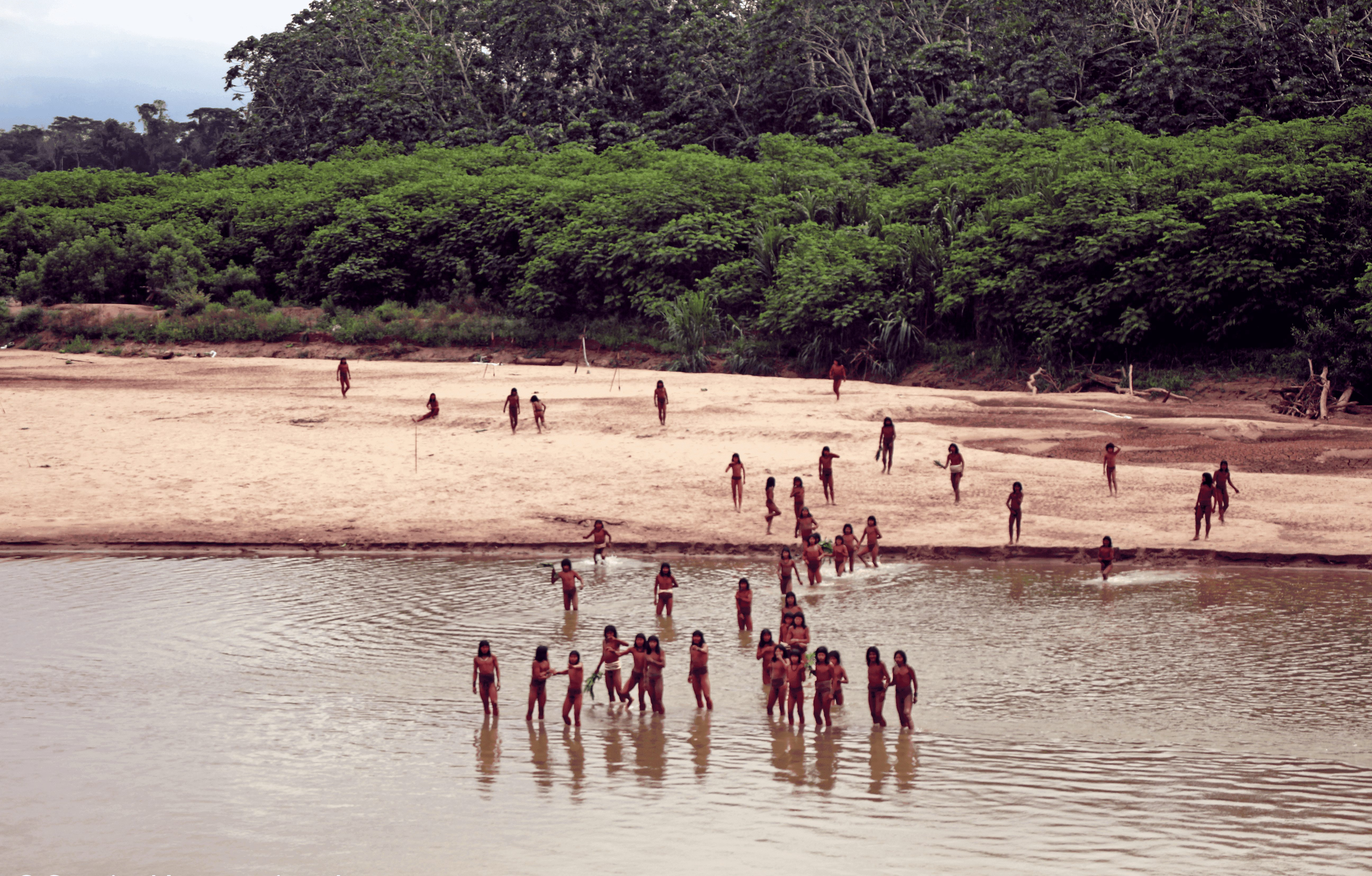 
                                 Revelan impactantes imágenes que muestran presencia de madereros en un pueblo indígena no contactado 
                            
