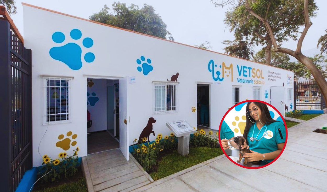 
                                 La veterinaria solidaria de la Municipalidad de Lima que brinda atención a costo social: conoce aquí sus sedes y precios 
                            