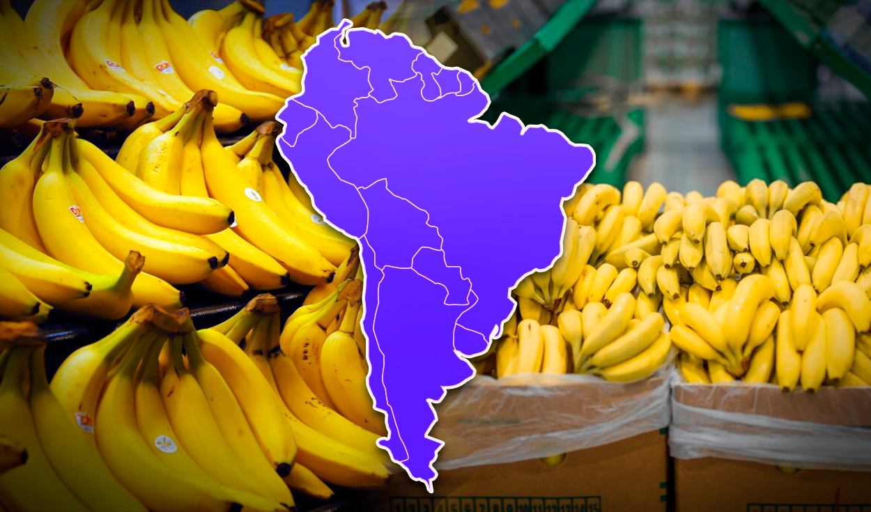 
                                 El país de Sudamérica líder en exportación de plátano del mundo: supera a Brasil y Colombia 
                            