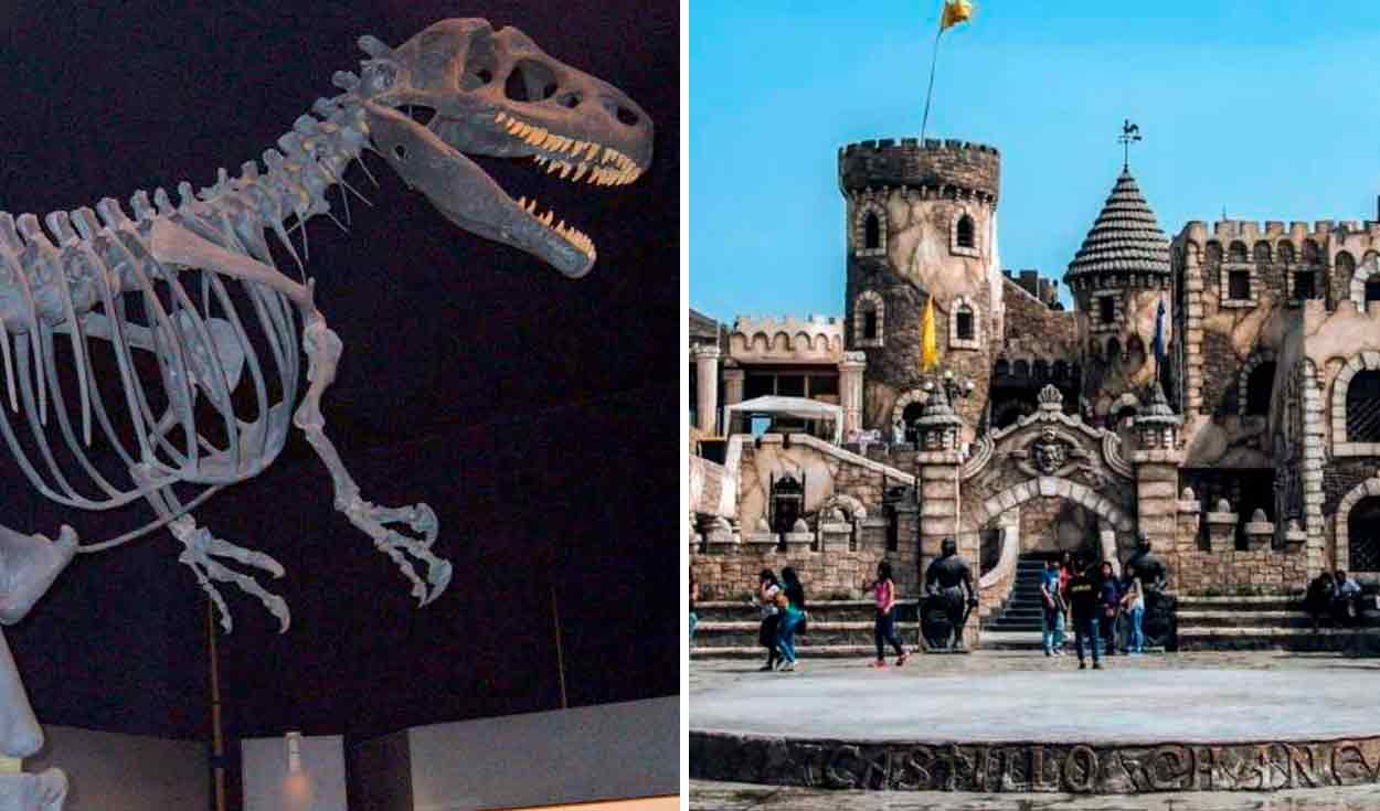 
                                 El nuevo parque Jurásico del Perú en Castillo de Chancay: cuándo será inaugurado y qué fósiles de dinosaurios exhibirá 
                            