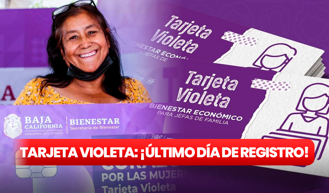 
                                 Tarjeta Violeta Bienestar 2024: FECHA LÍMITE de registro para recibir los $2.600 en Guerrero y Baja California 
                            
