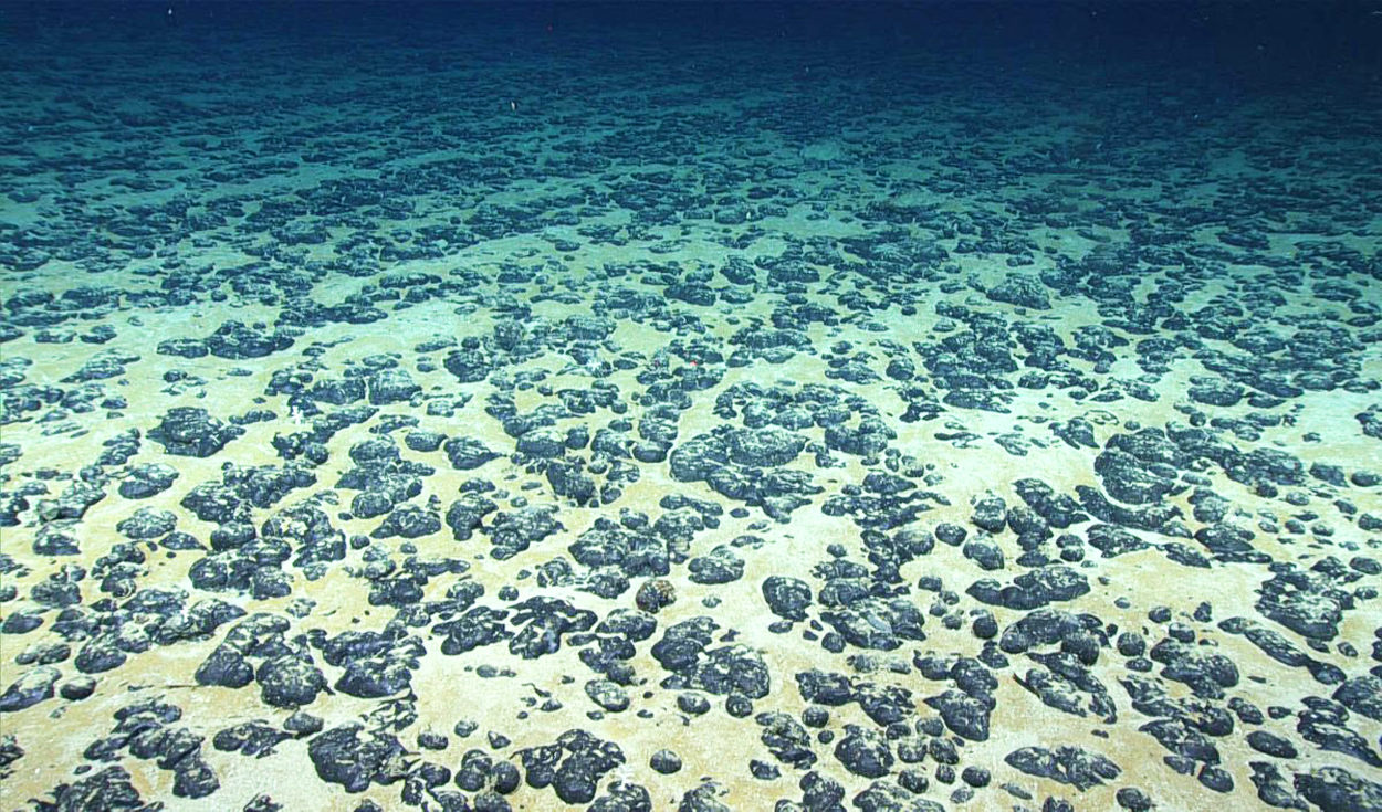 
                                 Científicos detectan enigmático oxígeno oscuro en el océano Pacífico y ponen en duda los orígenes de la vida 
                            