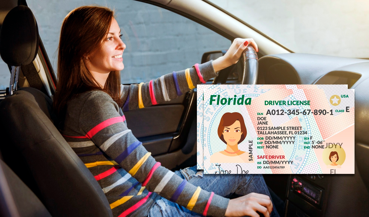 
                                 Licencia de conducir en Florida: esta es la nueva medida que entrará en vigor a fines de julio 
                            