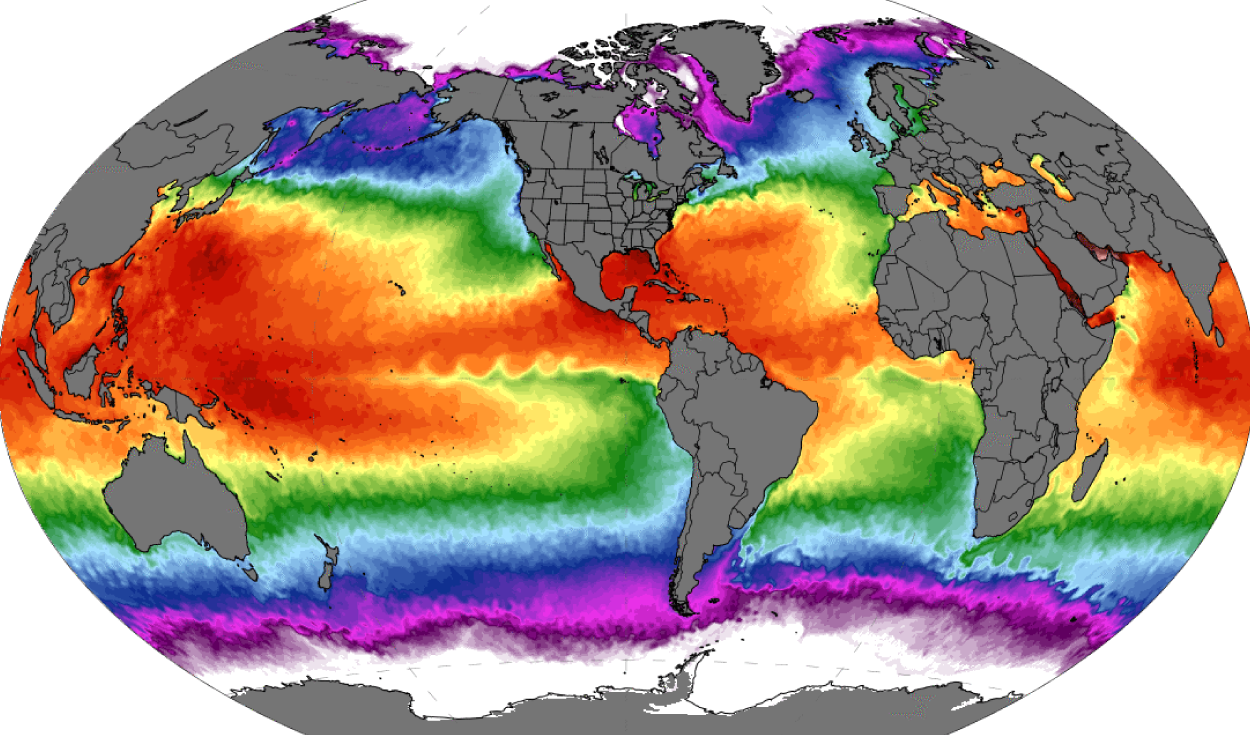 
                                 Las temperaturas de los océanos preocupan al mundo, pero julio 2024 marca un día sin récord tras más de un año 
                            