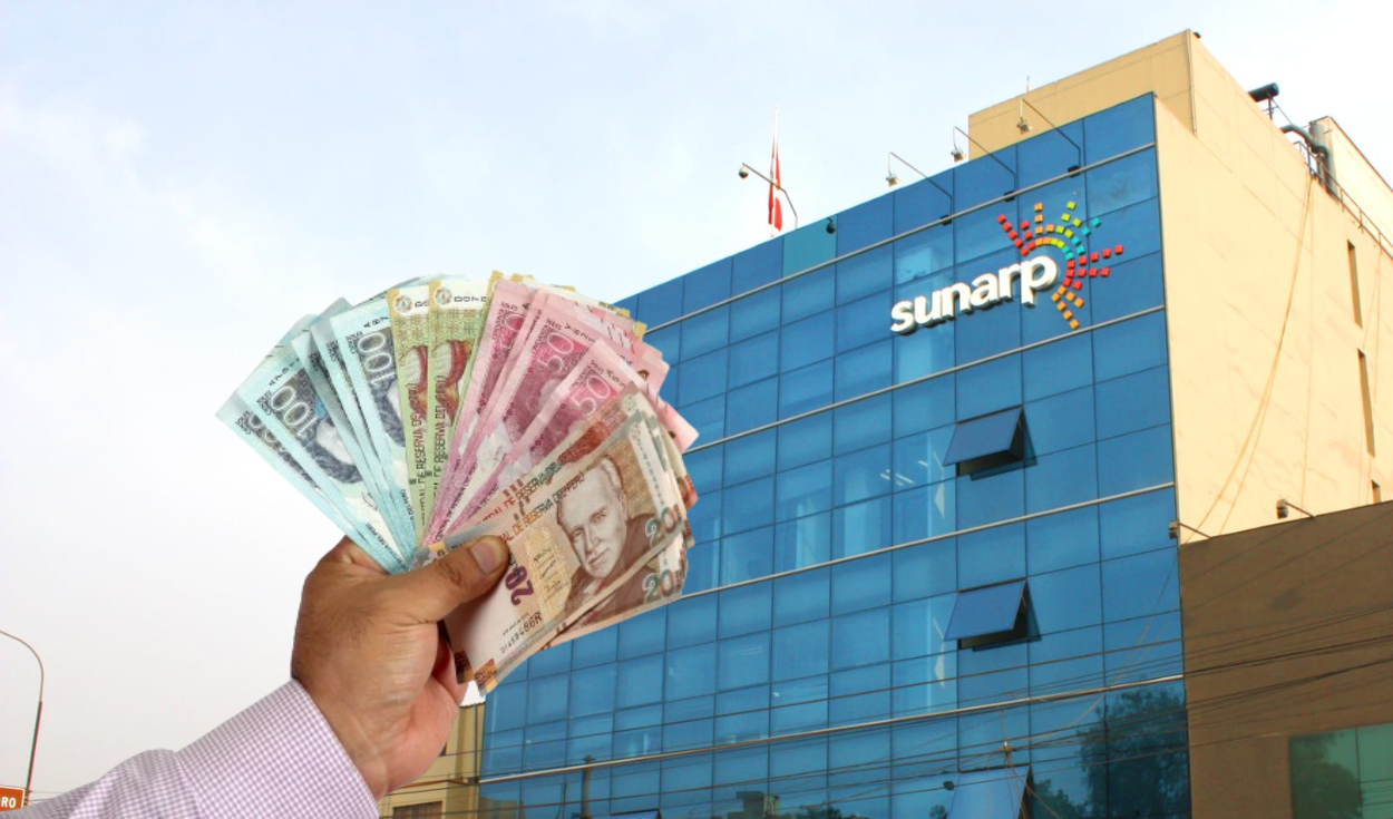 
                                 Sunarp abre nueva convocatoria de trabajo para titulados o con bachiller con sueldos de hasta S/10.000 
                            
