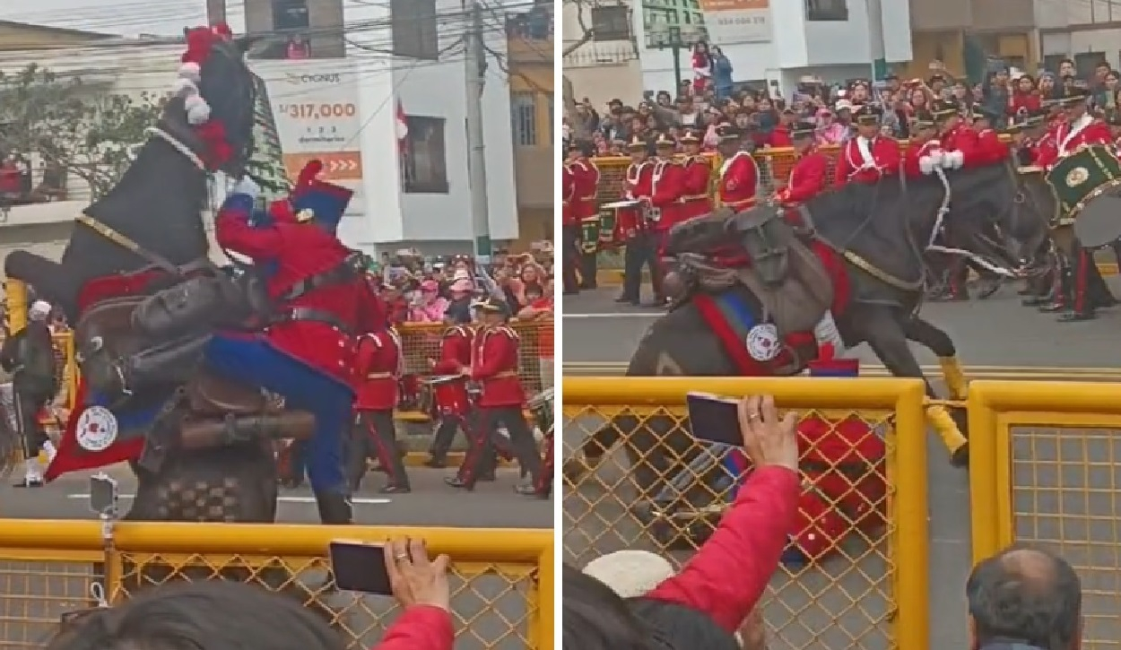 
                                 Accidente en Parada Militar 2024: caballo se desespera y cae junto a jinete durante desfile 
                            