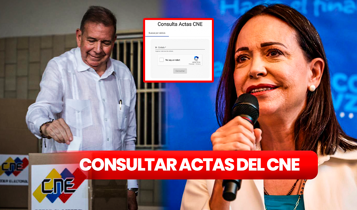 
                                 ¿Cómo consultar las actas del CNE? LINK para verificar los votos con número de cédula, según María Corina Machado 
                            