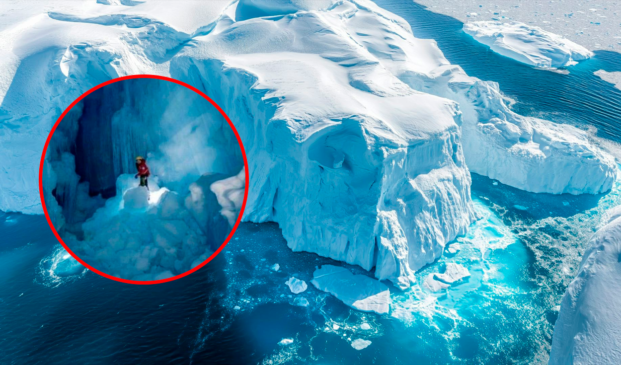 
                                 El impresionante descubrimiento en la Antártida, tiene 40 millones de años y descifraría la historia del continente 
                            