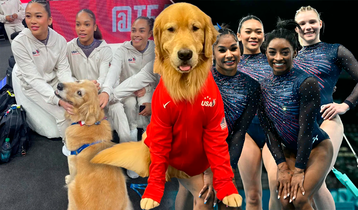 
                                 Conoce a Beacon, el perro Golden Retriever viral, que acompaña a Simone Biles y USA en los JJ. OO. París 2024 
                            