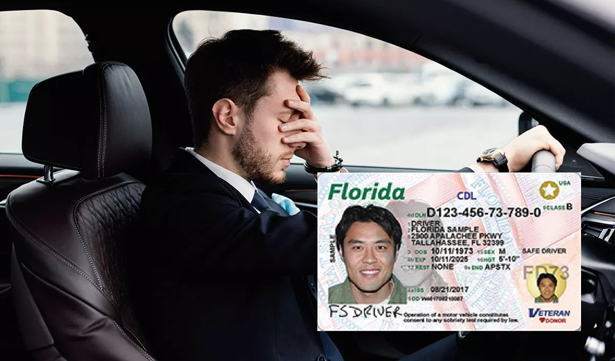 
                                 Licencia de conducir en Florida: conoce las nuevas medidas y cambios que aplican desde agosto 
                            