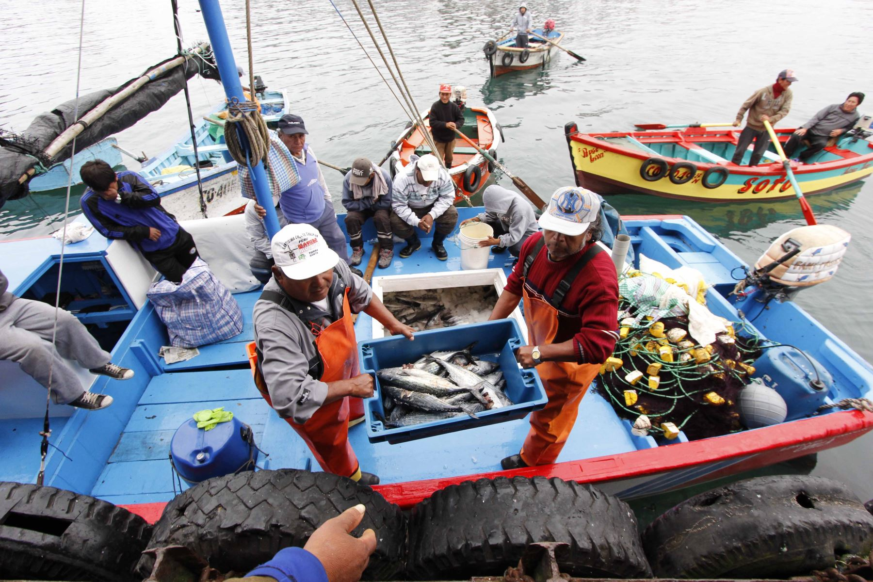 
                                 INEI: producción pesquera creció 45,02% en el primer semestre 
                            