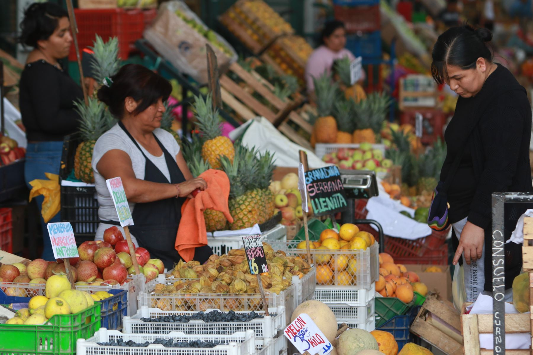 
                                 Inflación en Lima Metropolitana llegó a 0,24% en julio 
                            