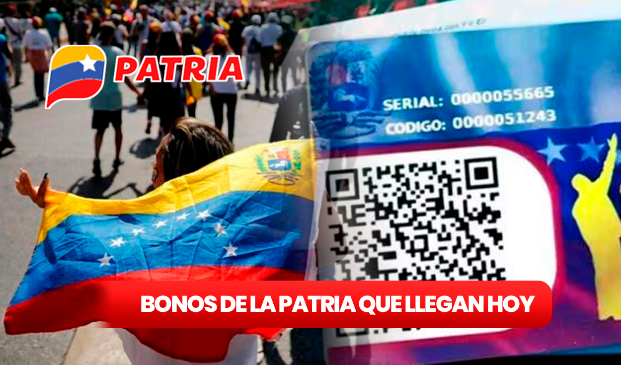 
                                 Bonos Patria AGOSTO 2024: ¿qué bono está llegando HOY en Venezuela? 
                            