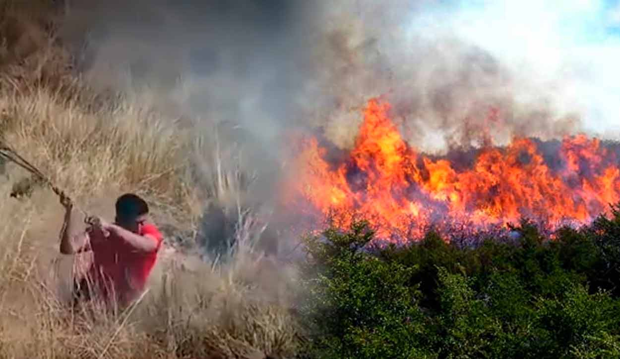 
                                 Incendio forestal en Huánuco arrasa más de 150 hectáreas de bosques y afecta a menor 
                            