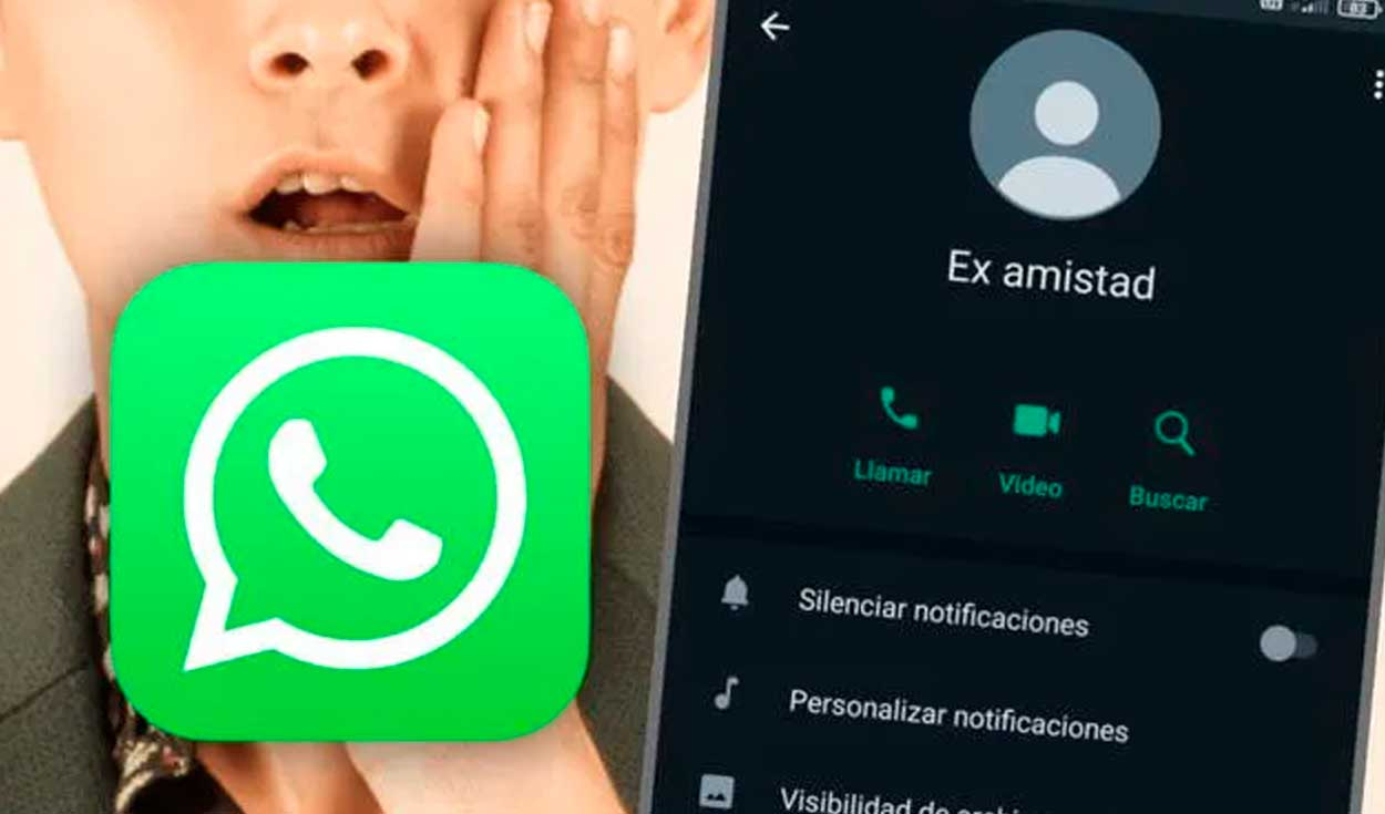 
                                 ¿Un amigo te eliminó de WhatsApp? Así podrás descubrir si borró tu número de su celular 
                            