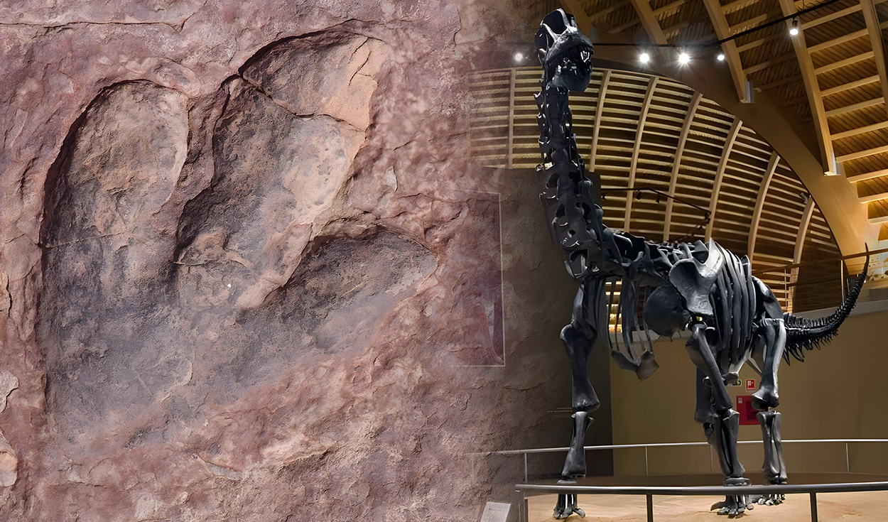 
                                 Huellas de dinosaurios de hace más de 150 millones de años serán digitalizados en 3D para el mundo entero 
                            