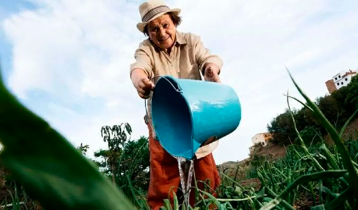 
                                 La universidad de Estados Unidos que te da beca por un año si eres de Perú y quieres estudiar agricultura 
                            