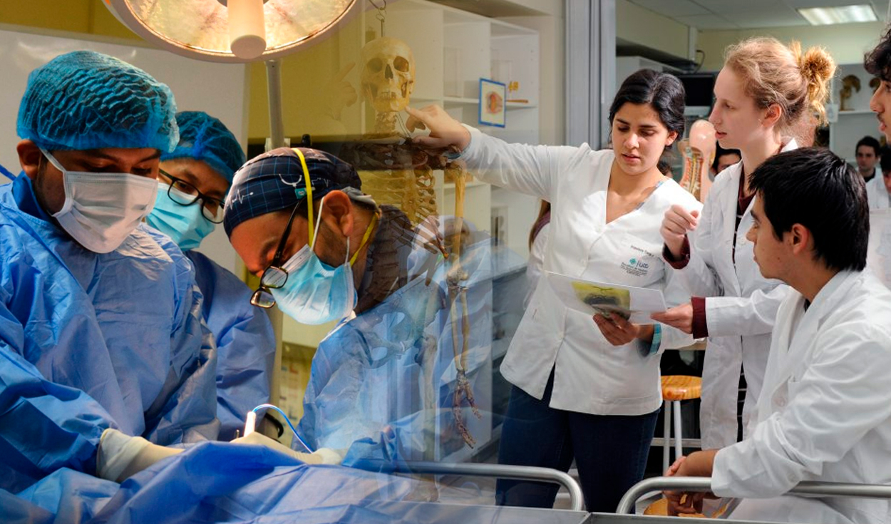 
                                 Conoce las 4 especialidades de Medicina mejor pagadas en Perú: sueldos superan los S/6.000, según MTPE 
                            
