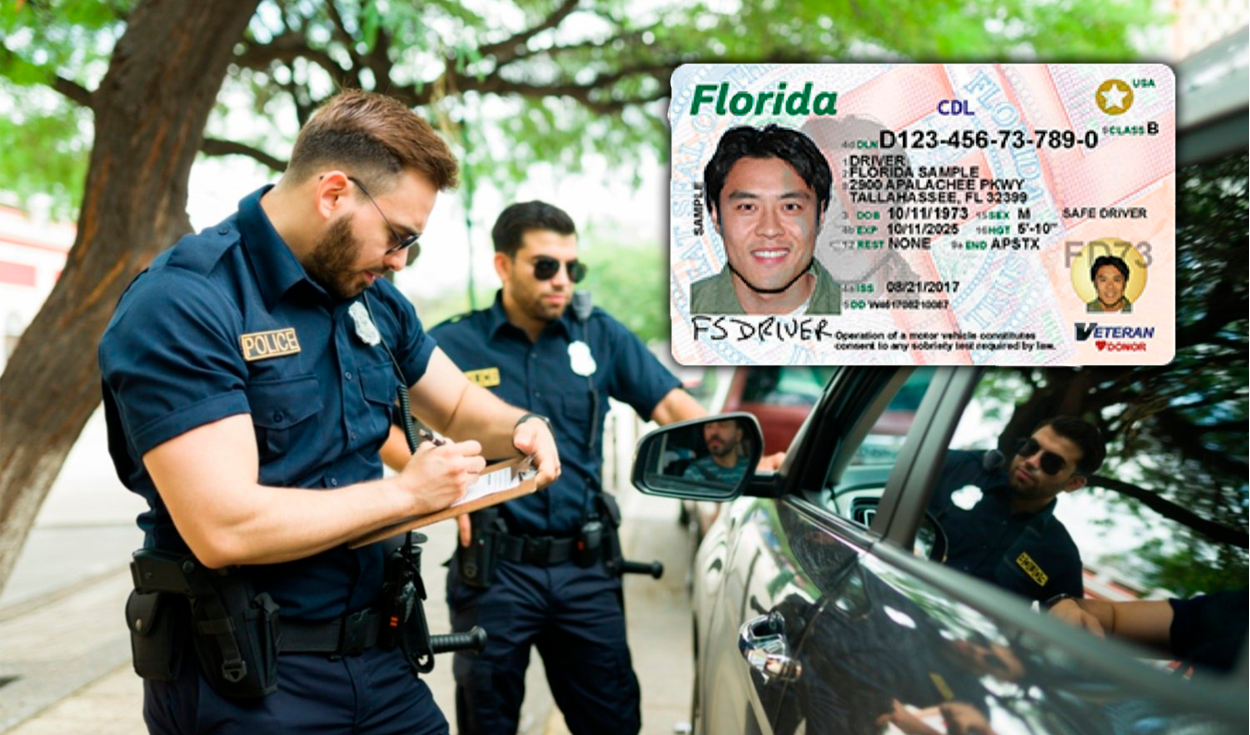 
                                 Licencia de conducir en Florida: esta es la NUEVA multa de tránsito que puede hacerte perder una gran suma de dinero 
                            