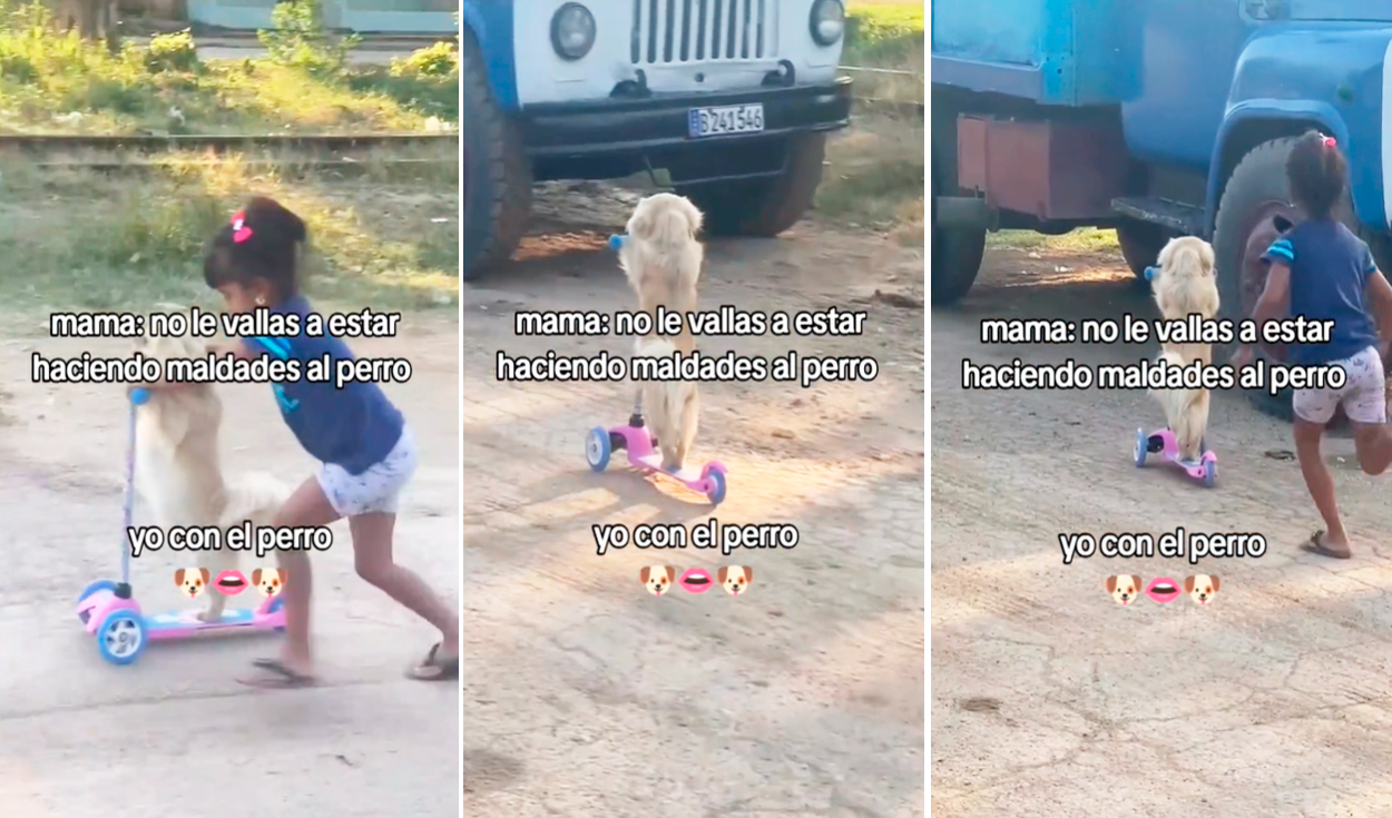 
                                 Perrito se divierte con su pequeña dueña al subirse a un scooter y deslizarse por la calle como un niño 
                            