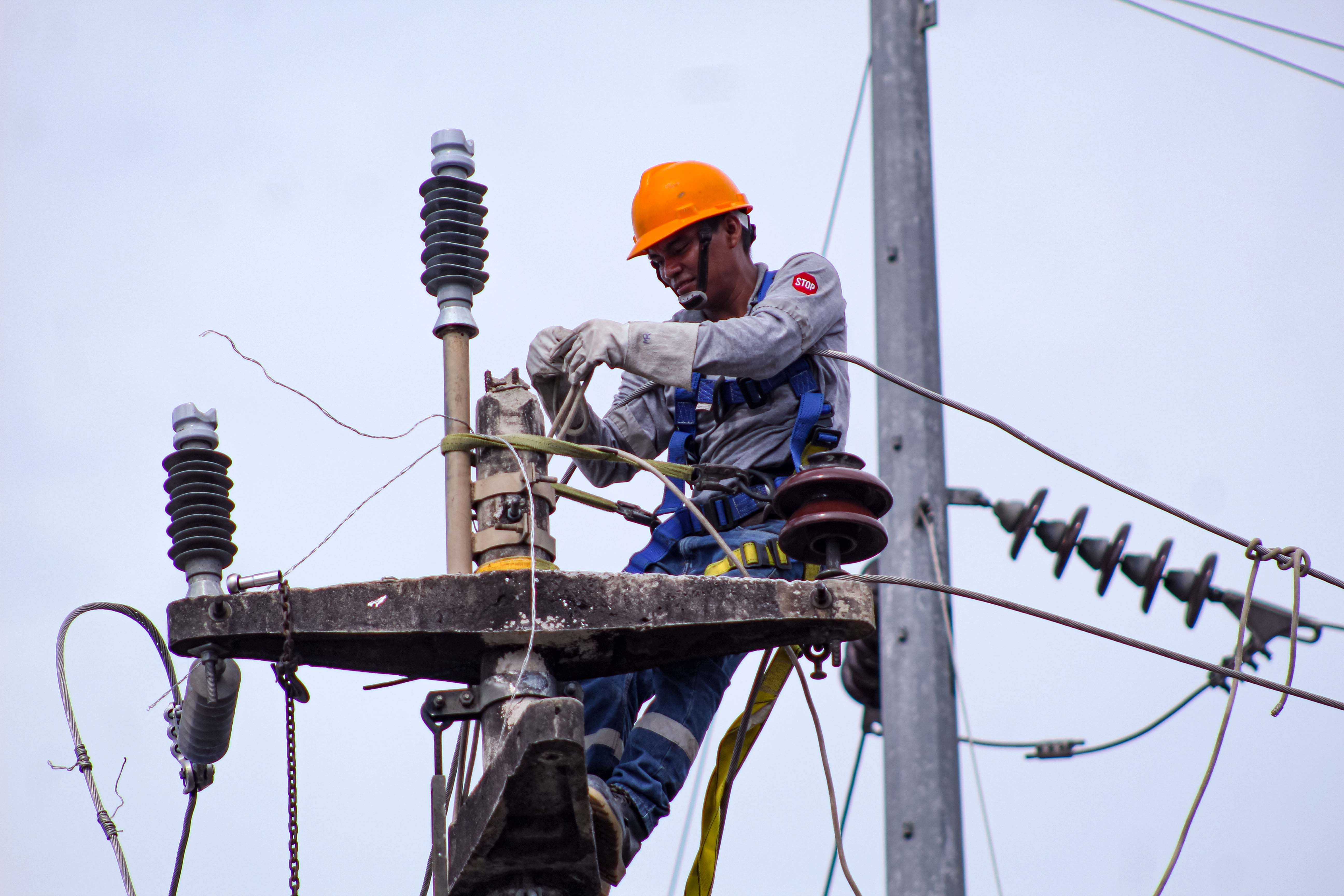 
                                 Luz del Sur: nueva plataforma simplicará trámites y permitirá identificar a falsos técnicos 
                            