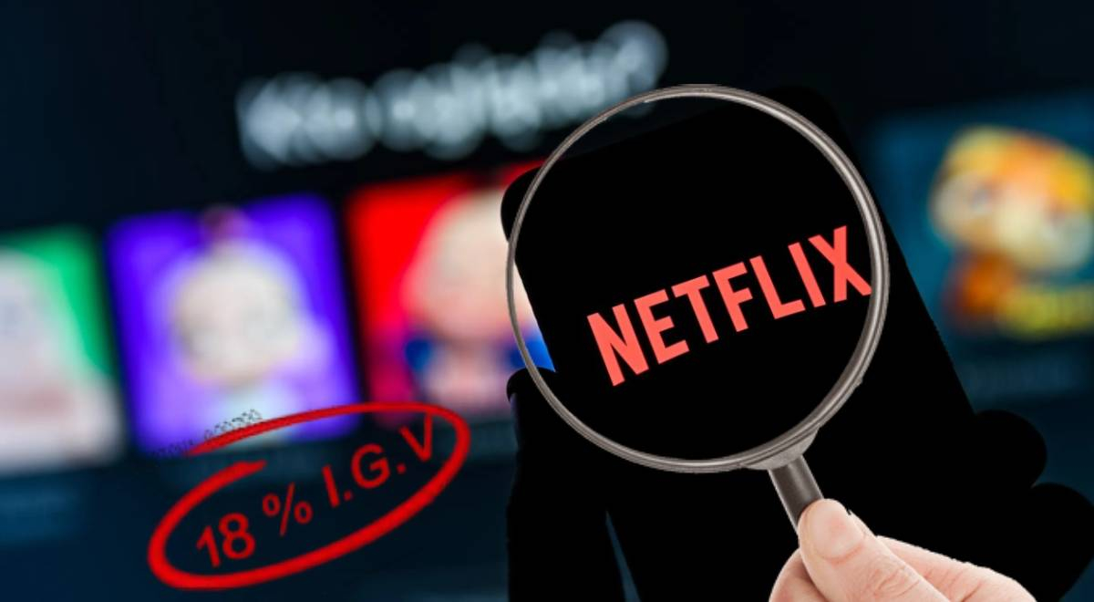 
                                 Tasa Netflix: unos 600 servidores digitales subirán sus tarifas desde octubre 
                            