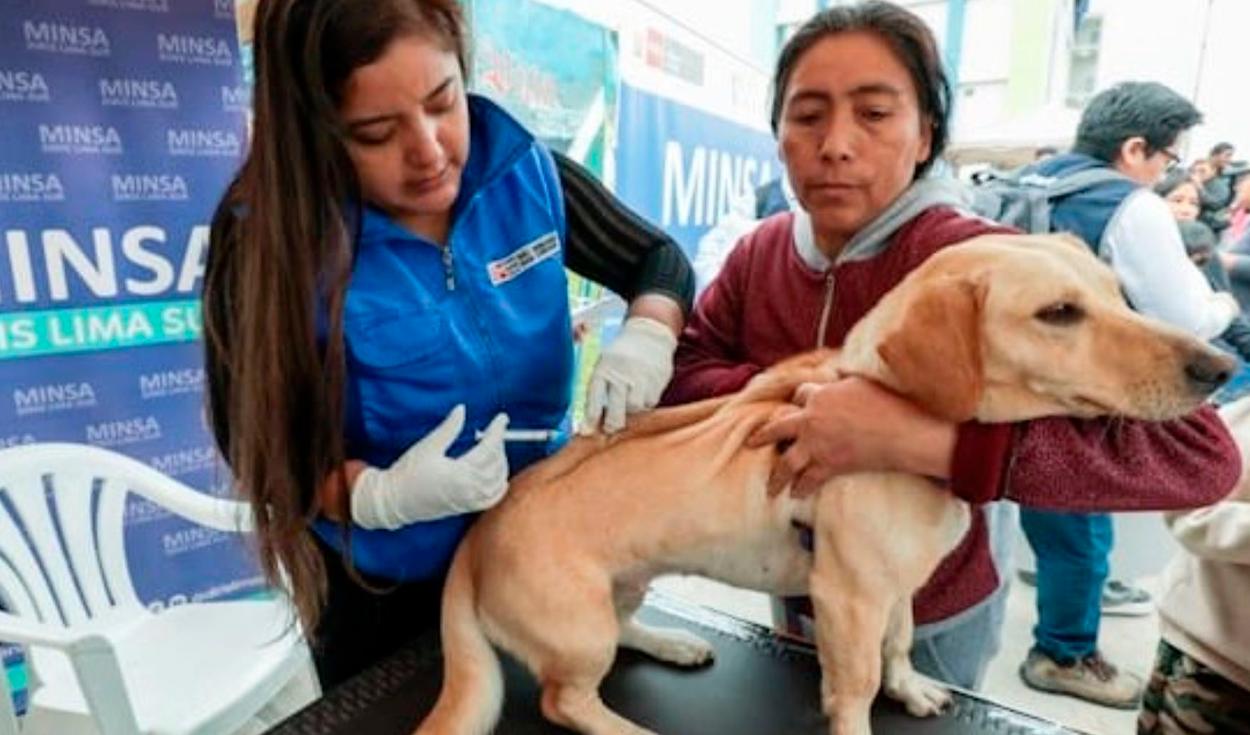 
                                 ‘VanCan 2024': Minsa alista campaña de vacunación contra la rabia a más de 3 millones perros a nivel nacional 
                            